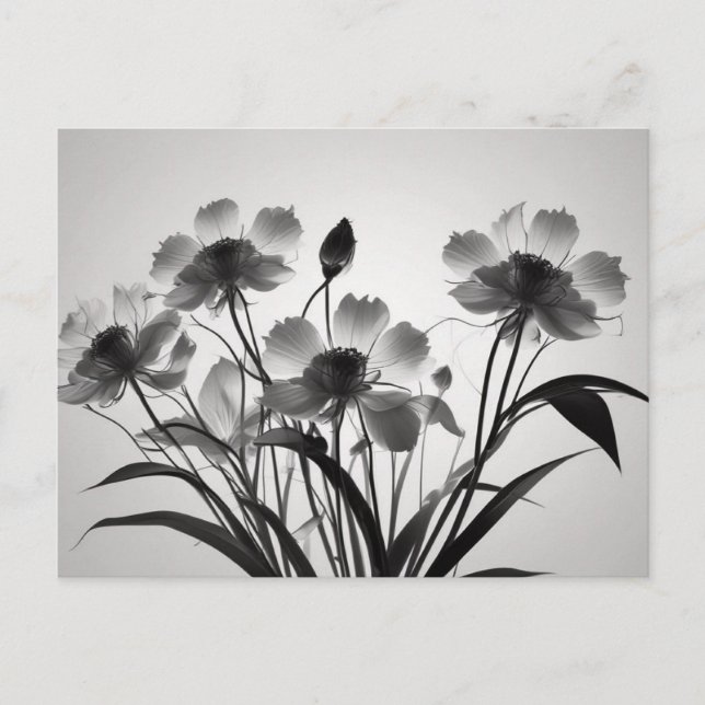 Postal Elegante Cosmos en Flor (Anverso)