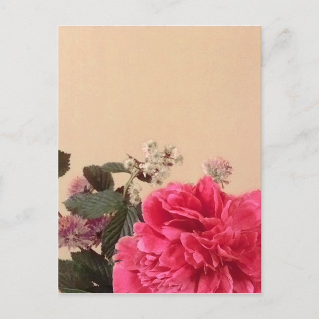 Postal Elegante Crema Rosa Floral (Anverso)