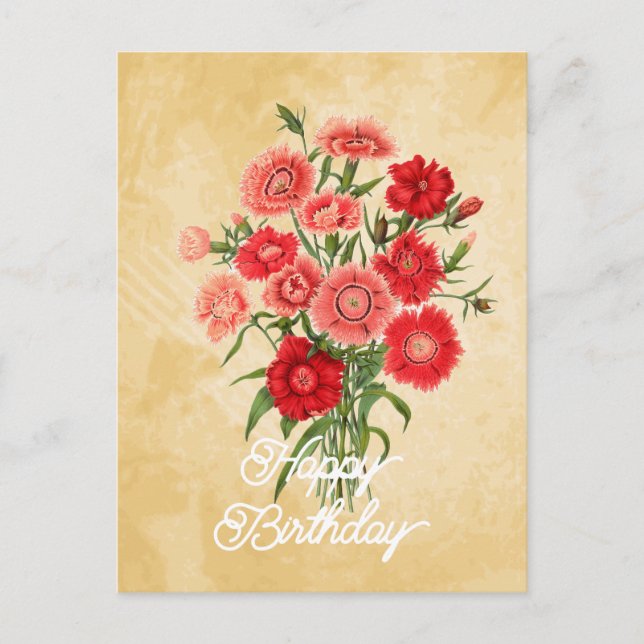 Postal Elegante Cumpleaños Flor Dianthus Chinensis Vintag (Anverso)