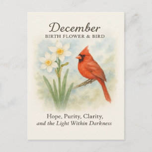 Postal Elegante Escritura Cristiana Cardenal de Diciembre