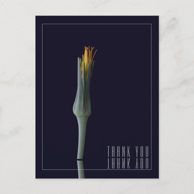 Postal Elegante Espejo Floral Personalizado Negro Gracias (Anverso)