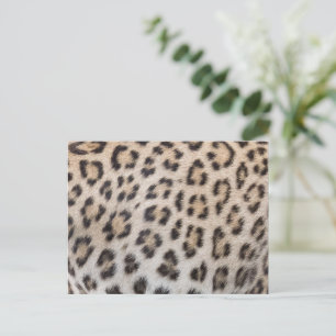 Postal Elegante estiloso estampado de piel de leopardo gu