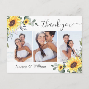 Postal Elegante Eucalyptus Sunflowers FOTO Gracias