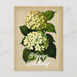 Postal Elegante Flor de Hortensia Vintage Feliz Cumpleaño