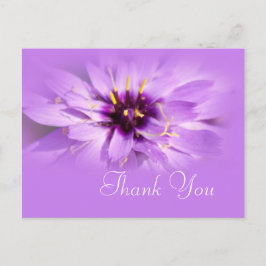 Postal Elegante flor de margarita morada gracias postal.