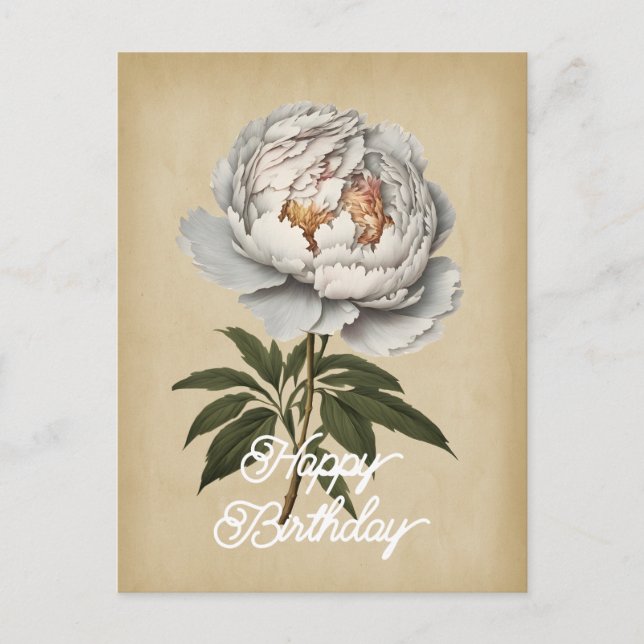 Postal Elegante Flor de Peonía Blanca de Cumpleaños Feliz (Anverso)