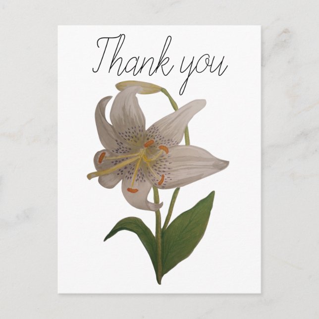 Postal Elegante Flor Lirio Blanco Vintage Gracias (Anverso)