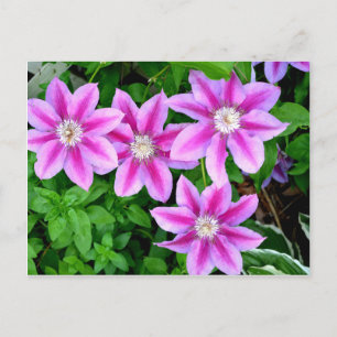 Postal Elegante floral boho verde rosa