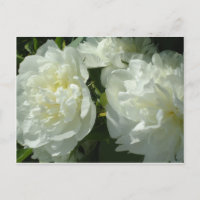 Elegante foto de una joya blanca floral