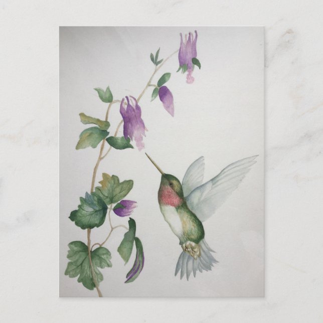 Postal Elegante Hummingbird Watercolor (Anverso)