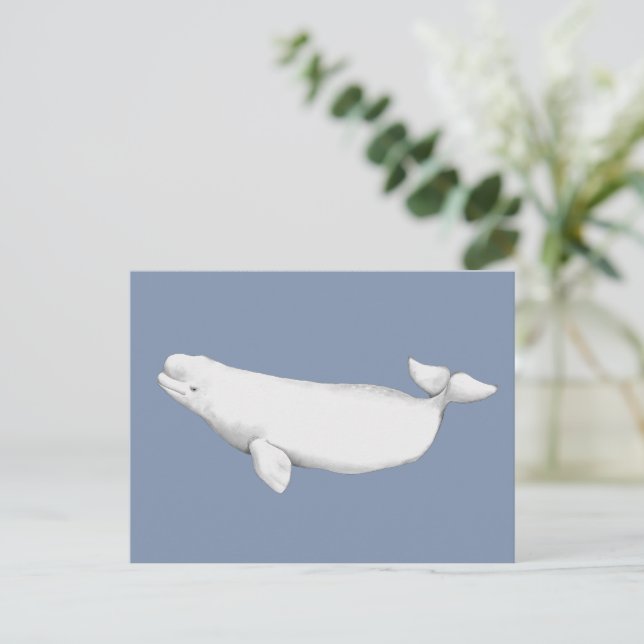 Postal Elegante Ilustracion del libro de ballenas de Belu (Anverso de pie)