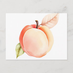 Postal Elegante impermeable sobre fondo blanco