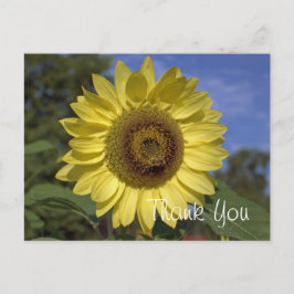 Postal Elegante, luminoso verano girasol amarillo gracias