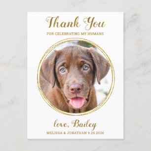 Postal Elegante Moda Mascota de oro Boda de perro gracias