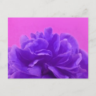Postal Elegante morado frambuesa floral