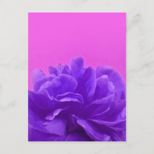 Postal Elegante morado frambuesa floral
