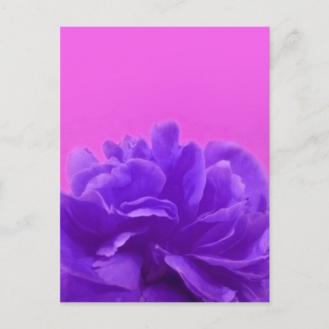 Postal Elegante morado frambuesa floral (Anverso)