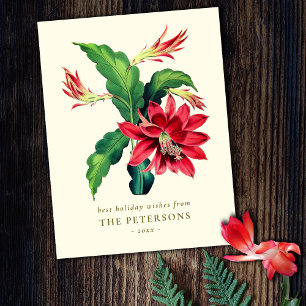 Postal Elegante Navidades botánicos de época Flor de cact
