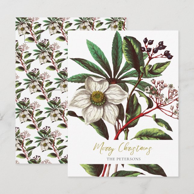 Postal Elegante Navidades botánicos de época Rosa Flor (Anverso / Reverso)