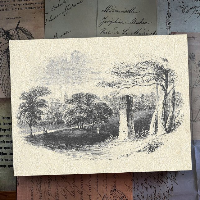 Postal Elegante paisaje de campo blanco negro blanco ingl (Subido por el creador)