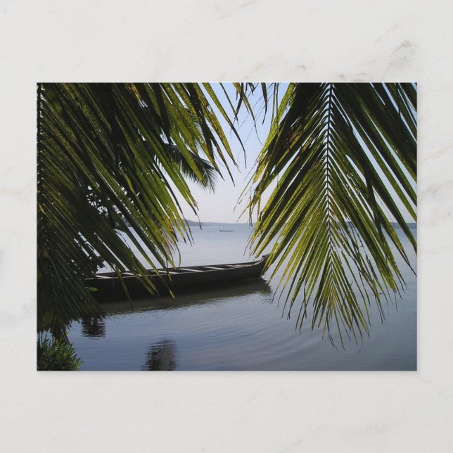 Postal Elegante Palm Boat Lake Love Shower Peace Destiny (Anverso)