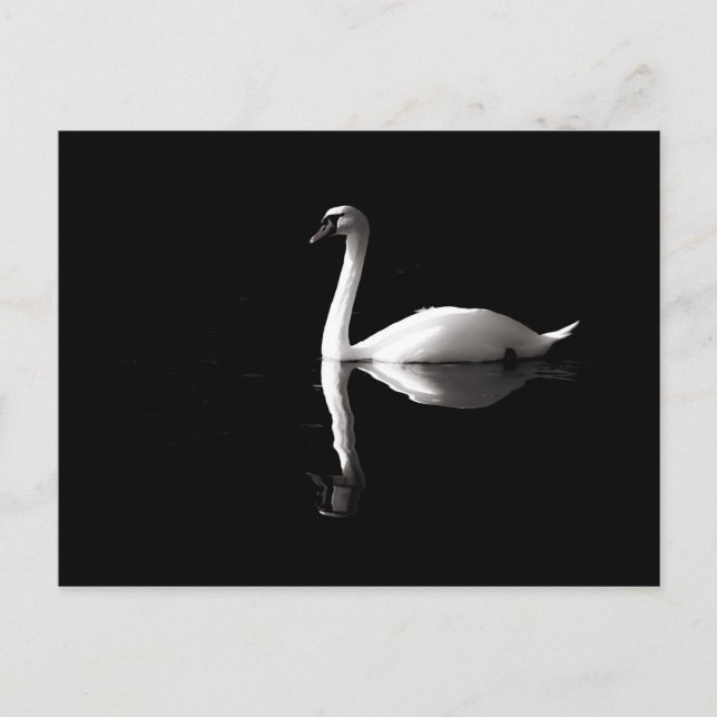 Postal Elegante Reflexión Del Cisne Blanco Sobre El Lago  (Anverso)