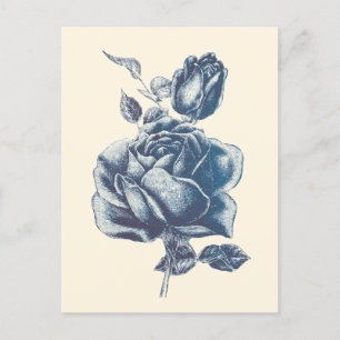 Postal Elegante Rosa azul vintage