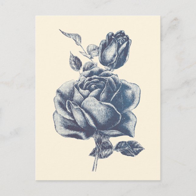 Postal Elegante Rosa Azul Vintage  (Anverso)