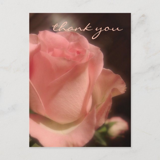 Postal Elegante Rosa De Peach - Gracias Postcard (Anverso)