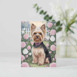 Postal Elegante Rosa de Yorkshire Terrier
