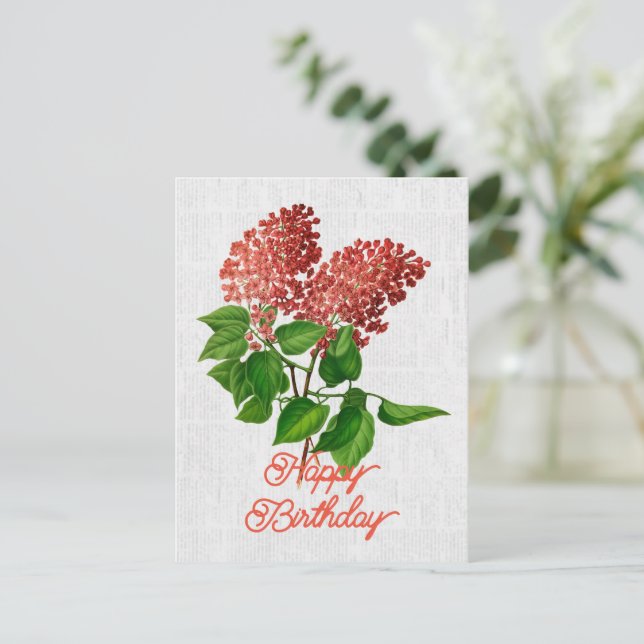 Postal Elegante Syringa Vintage Vulgaris Cumpleaños Flora (Anverso de pie)