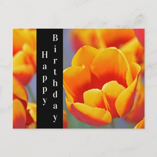 Postal Elegante Tulipán Amarillo y Rojo Feliz Cumpleaños (Anverso)
