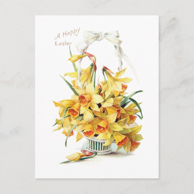Postal Elegante Viejo Daffodils de Pascua Dorada (Anverso)