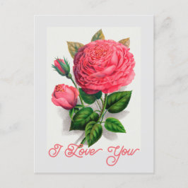 Postal Elegante Vintage Anna de Diesbach Rosa Te Amo