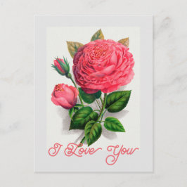 Postal Elegante Vintage Anna de Diesbach Rosa Te Amo