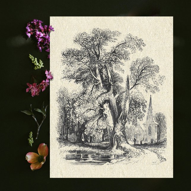 Postal Elegante Vintage Black White Church País Inglés (Subido por el creador)