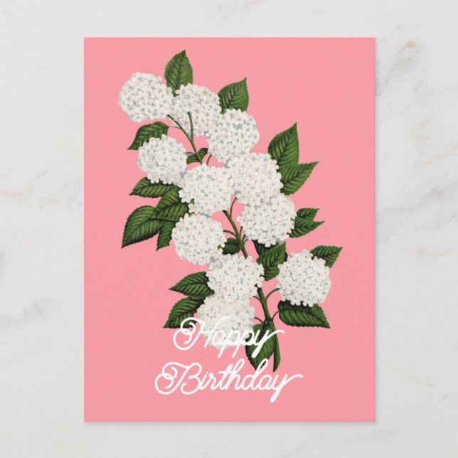 Postal Elegante vintage japonés snowball feliz cumpleaños (Anverso)