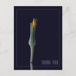 Postal Elegante y personalizada Floral Black Gracias