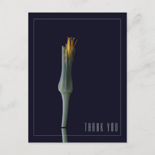 Postal Elegante y personalizada Floral Black Gracias