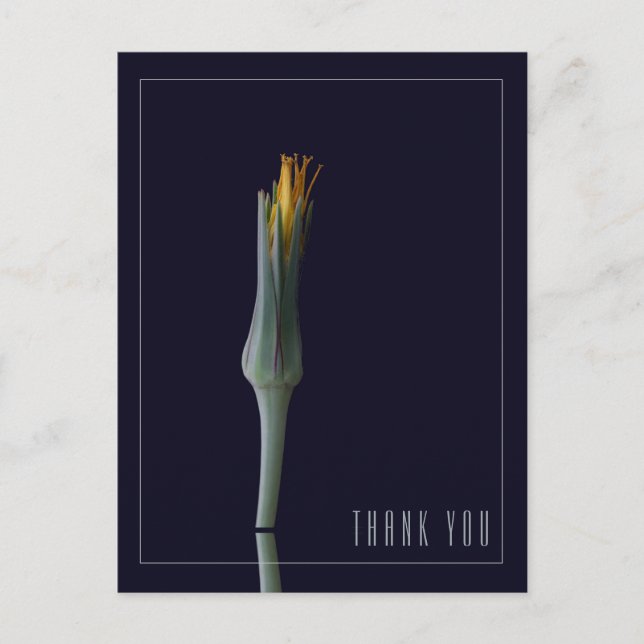 Postal Elegante y personalizada Floral Black Gracias (Anverso)