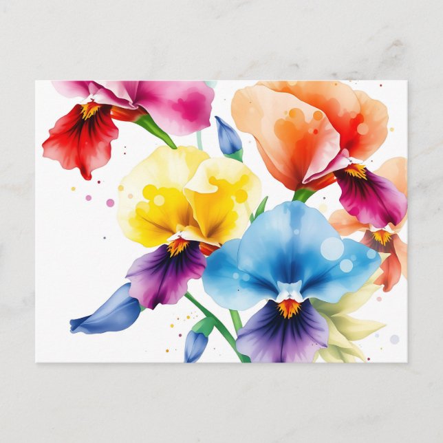 Postal Elegantes flores de iris con manchas acuáticas (Anverso)