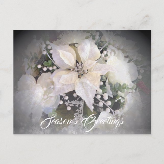 Postal Elegantes Navidades blancos Poinsettia (Anverso)