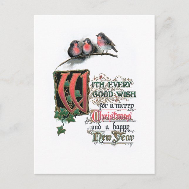 Postal Elegantes Navidades ornados Textos con Robins e Iv (Anverso)
