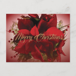 Postal Elegantes Navidades rojos Poinsettia