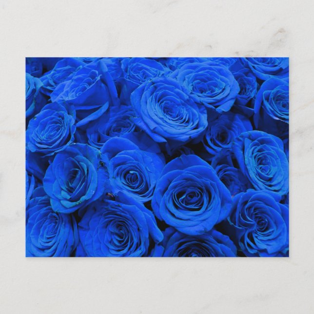 Postal Elegantes rosas azules flores azules florales azul (Anverso)