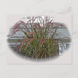 Postal Elementos de coordenadas de grúas decorativas roja