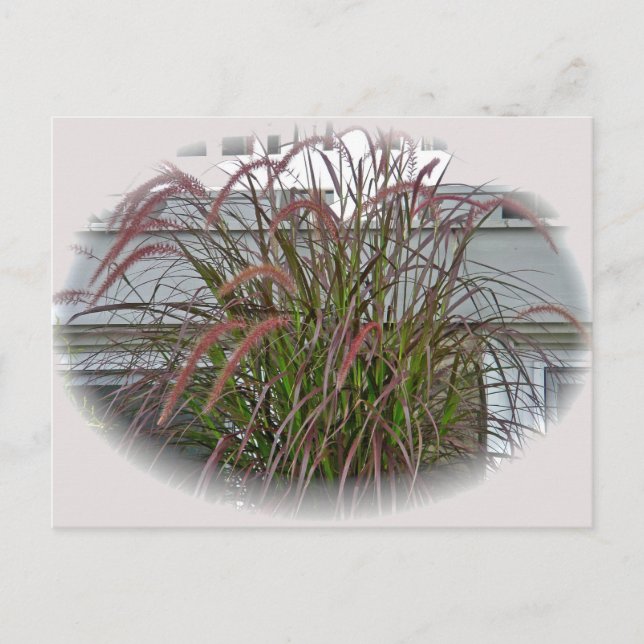 Postal Elementos de coordenadas de grúas decorativas roja (Anverso)