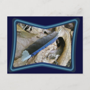 Postal Elementos de coordenadas de la pluma de Jay azul