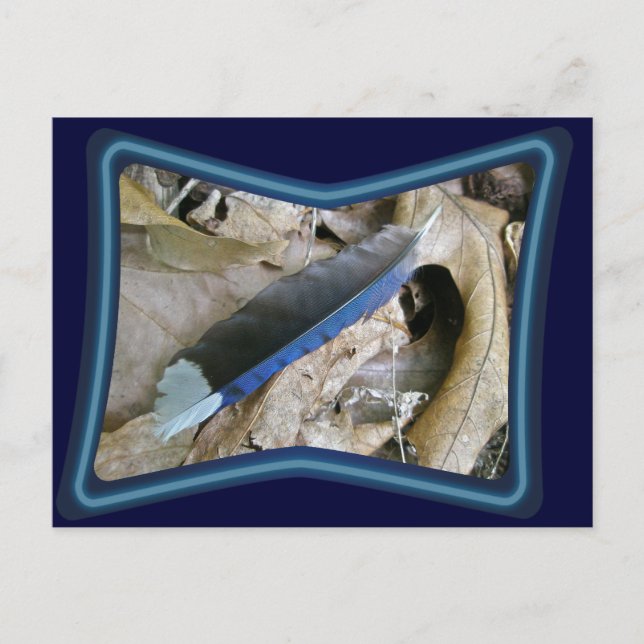 Postal Elementos de coordenadas de la pluma de Jay azul (Anverso)