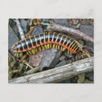 Elementos de la serie Millipede